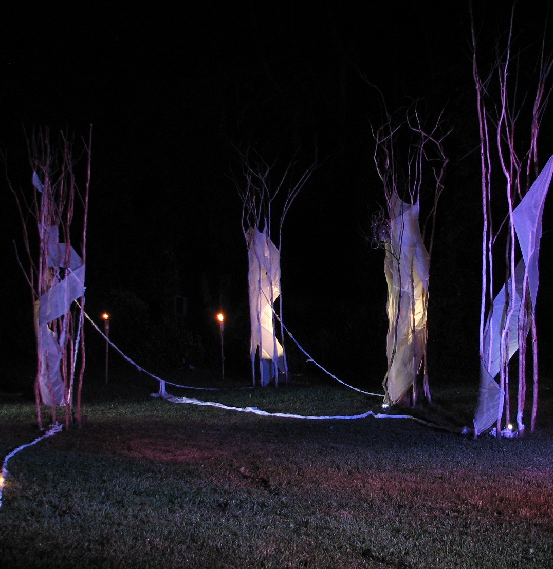 “One of Many Limbs”, Cherie Sampson performance