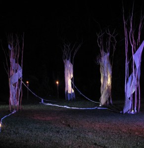 “One of Many Limbs”, Cherie Sampson performance “One of Many Limbs”, Cherie Sampson performance