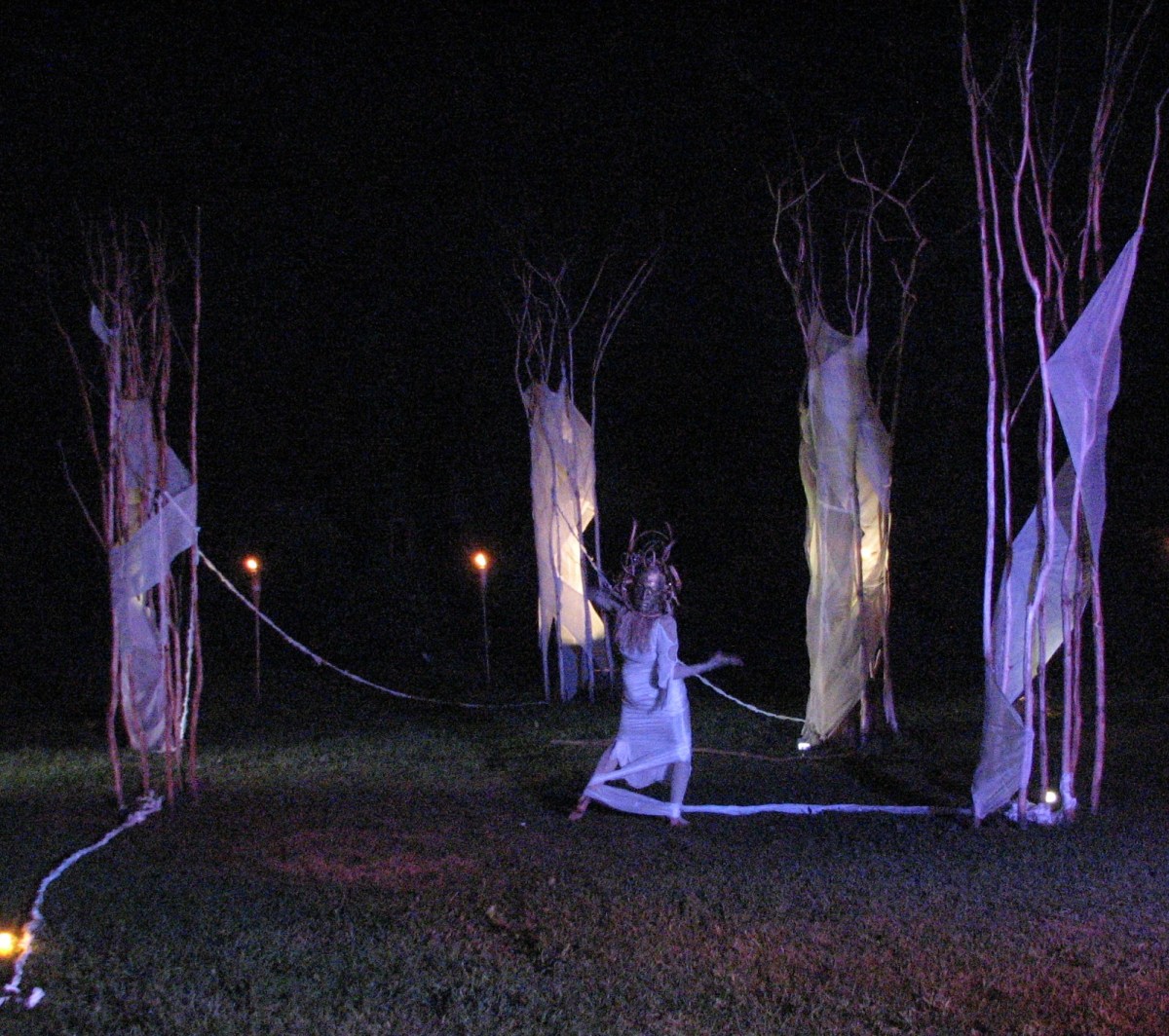 “One of Many Limbs”, Cherie Sampson performance