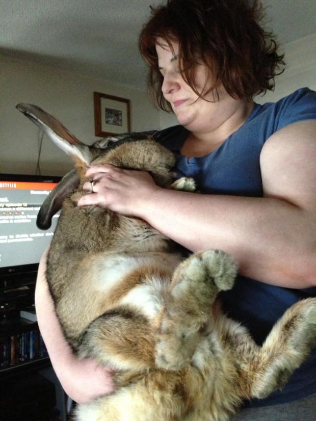 Woman with pet rabbit