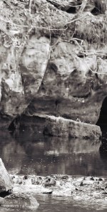 South fork of Hay River