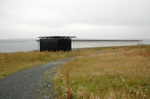 This is the path down to the monument. It's hard to tell from this photo, but the most common plants I saw along the way were nettles and poison hemlock. — at Steilneset Memorial in Vardø, Norway.